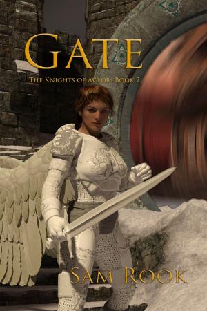 Book cover of Gate