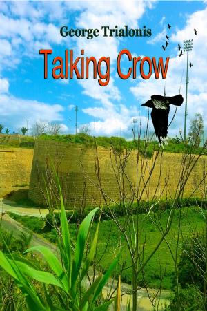 Cover of the book Talking Crow by Роман Шабанов