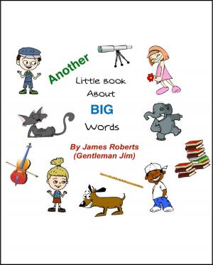 Cover of Another Little Book About Big Words