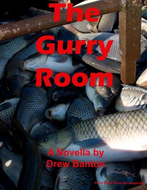 Cover of the book The Gurry Room by James Frishkey
