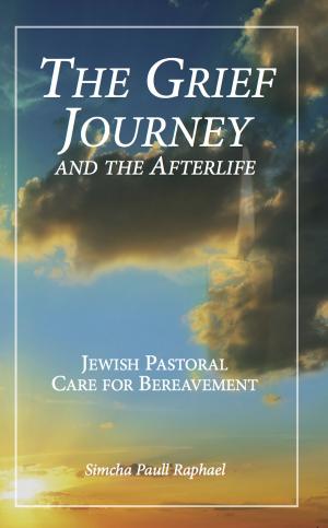 Cover of the book The Grief Journey and the Afterlife: Jewish Pastoral Care for Bereavement by Avi Katz
