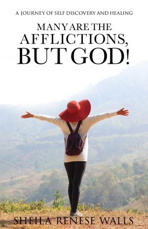 Cover of the book Many are the Afflictions, But God by Connie Rossini