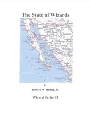 Cover of the book State of Wizards by Douglas Faber