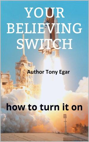Cover of the book Your Believing Switch by Cavin T Harper
