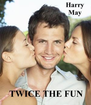 Cover of the book Twice The Fun by Harry May