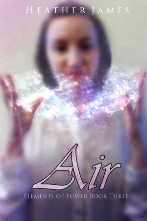 Cover of the book Air by 張慧慈