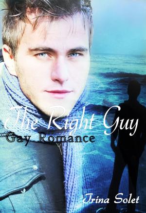 Cover of the book The Right Guy by Lora Ann