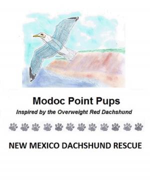 Book cover of Modoc Point Pups