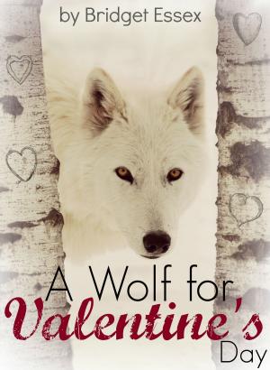 bigCover of the book A Wolf for Valentine's Day by 