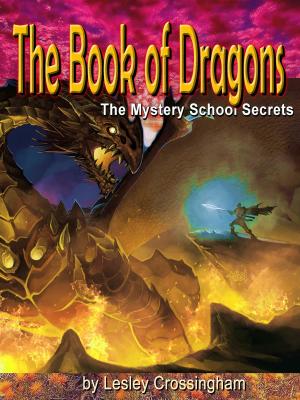 Cover of the book The Book of Dragons by David Emerald