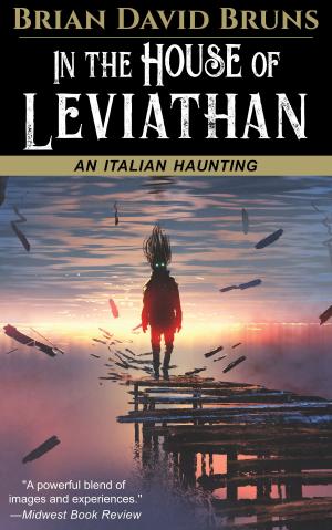 Book cover of In the House of Leviathan