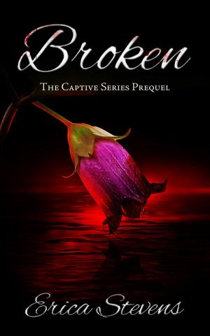 Book cover of Broken (The Captive Series Prequel)