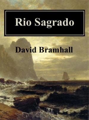 Book cover of Rio Sagrado