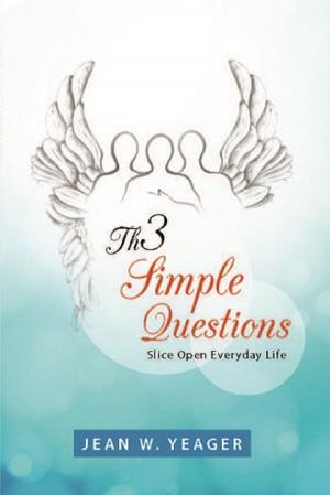 Cover of the book Three Simple Questions: Slice Open Everyday Life by Tony Peters