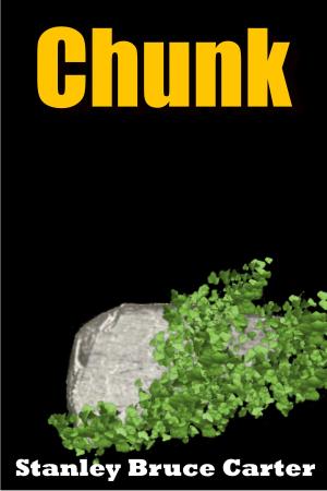 Book cover of Chunk