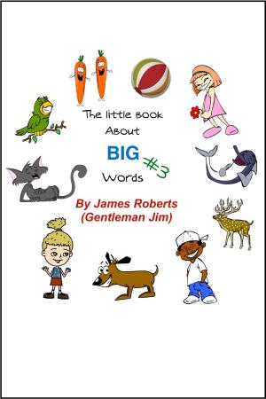 Cover of the book The Little Book About BIG Words #3 by DR. EMAN