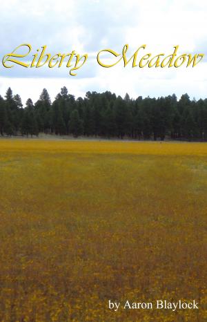 Book cover of Liberty Meadow