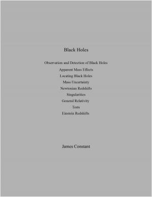 Cover of the book Black Holes by James Constant