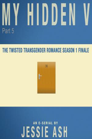 Cover of the book My Hidden V – Part 5 (Season 1 Finale) by Andrew Daws