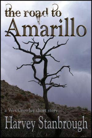 Cover of the book The Road to Amarillo by Eric Stringer