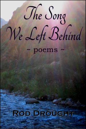 Cover of The Song We Left Behind