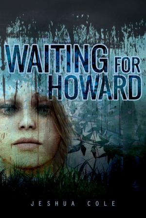 bigCover of the book Waiting for Howard by 