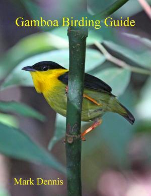 Book cover of Gamboa Birding Guide