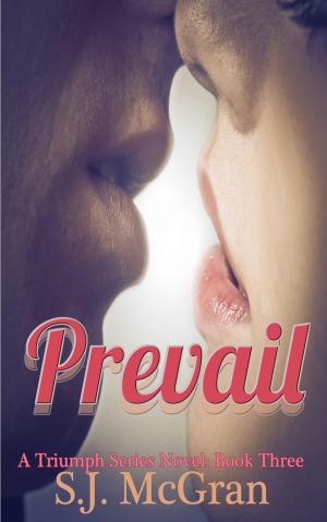 Cover of the book Prevail by Rachael Herron