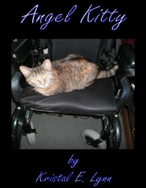 bigCover of the book Angel Kitty by 