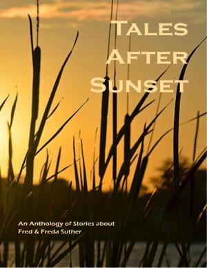 Cover of the book Tales After Sunset by R Campbell Zaino