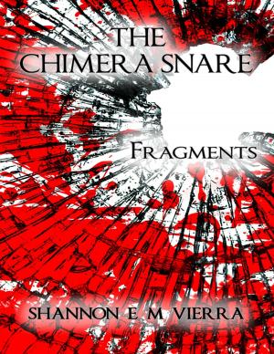 Cover of the book The Chimera Snare - Fragments by Gavin Chappell