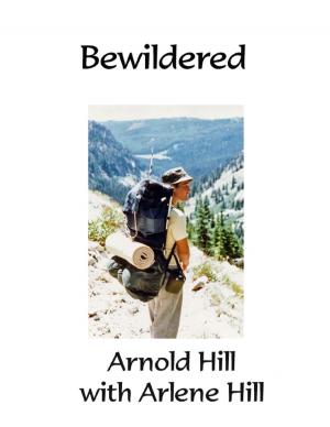 Cover of the book Bewildered by Javin Strome