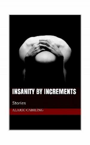 Cover of the book Insanity By Increments by Lucia Tommasi