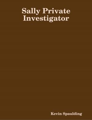 Cover of the book Sally Private Investigator by bertrand PEILLARD