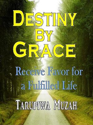 Cover of the book Destiny By Grace by Tosin Adeola