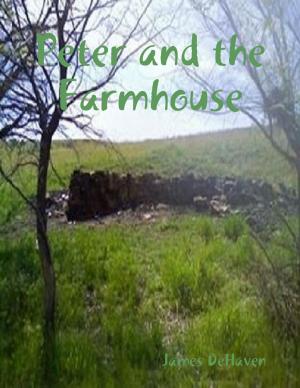 Book cover of Peter and the Farmhouse