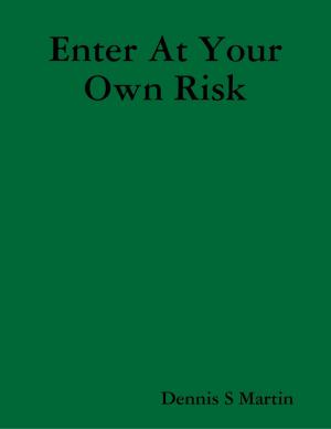 Cover of the book Enter At Your Own Risk by Jeremiah Saint