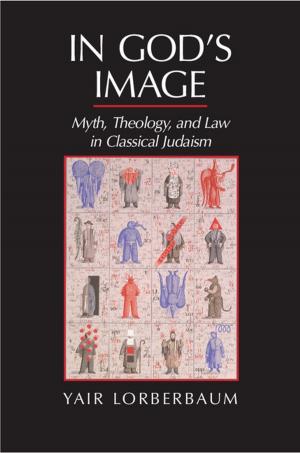Cover of the book In God's Image by Elizabeth S. Allman, John A. Rhodes