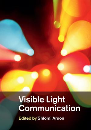 Cover of the book Visible Light Communication by Suzanne Preston Blier