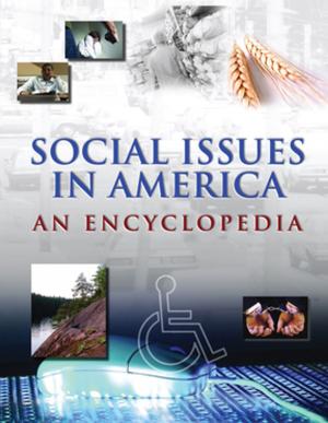 Book cover of Social Issues in America: An Encyclopedia