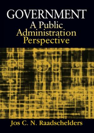 Cover of the book Government: A Public Administration Perspective by Robert G. Wirsing