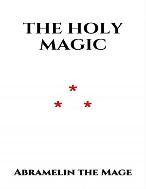 Cover of the book The Holy Magic by The KPI List