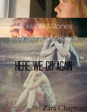 Cover of the book Sticks and Stones May Break My Bones - Here We Go Again by Shawn Hatfield