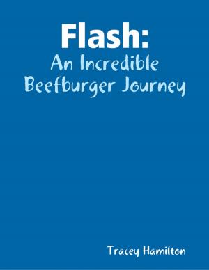 Cover of the book Flash: An Incredible Beefburger Journey by Allison Gee