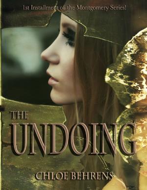 bigCover of the book The Undoing by 