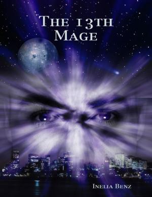 Cover of the book The 13th Mage by Richard Jimenez
