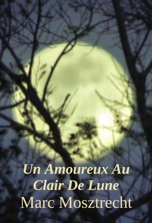 Book cover of Un Amoureux Au Clair De Lune
