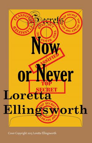 Cover of the book Now or Never by Loretta Ellingsworth