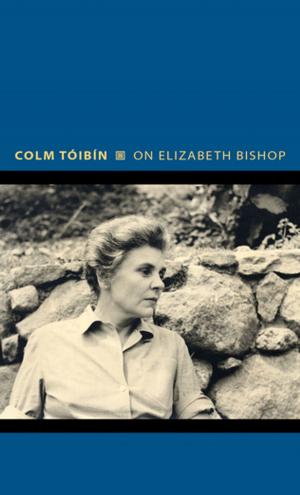 Cover of the book On Elizabeth Bishop by John Burnside