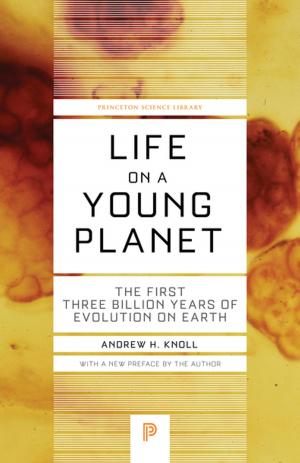 Cover of the book Life on a Young Planet by John Greville Agard Pocock